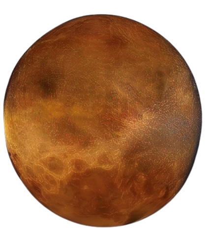 Vénus